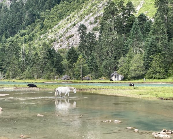 西藏的高山聖湖💙一措再措2907582
