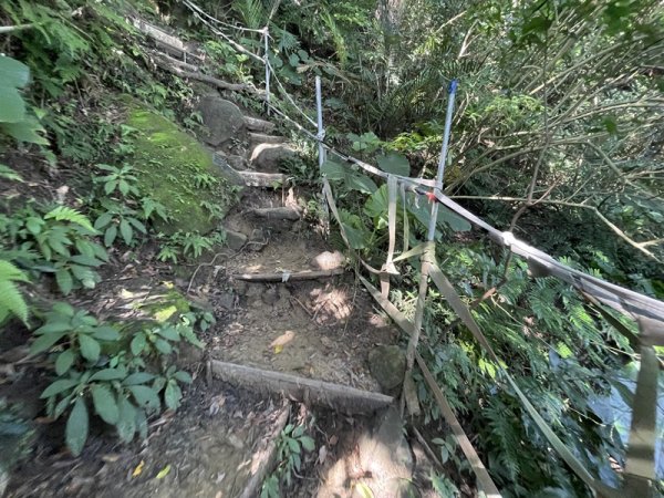 【鳶山山系】鳶山彩壁2858070