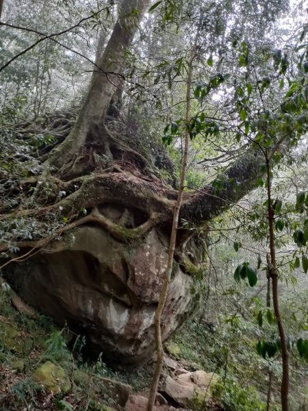 雪季北得拉曼2956433