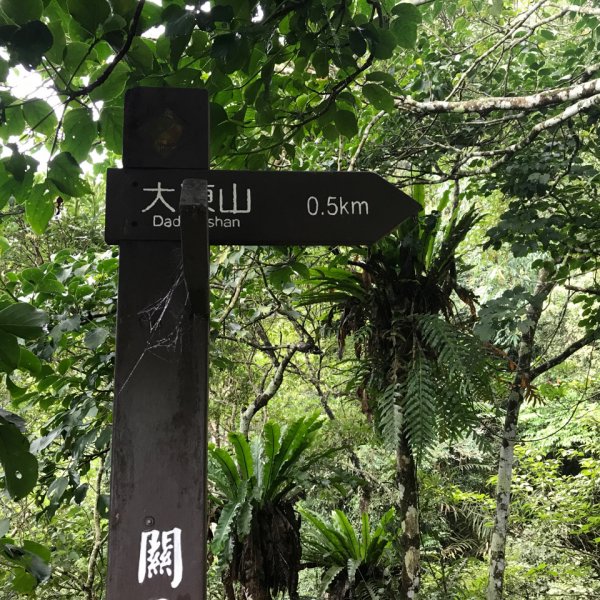 大凍山、雞籠山環行1076518