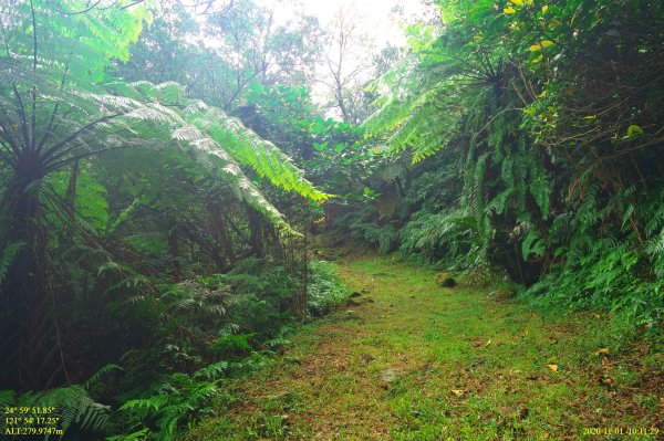 芒裡偷閒-大嶺古道飛越桃源谷1155241