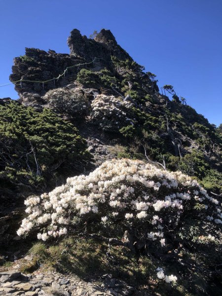 20260517-22南湖假期3071186