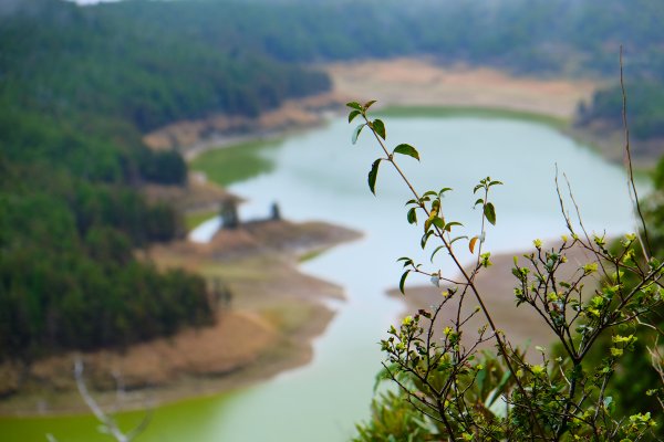 少了濃霧的翠峰湖環山步道805874