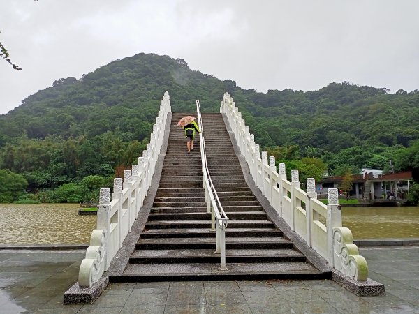 內湖大港墘公園、大湖公園 (防災公園) 【走路趣尋寶】1896635