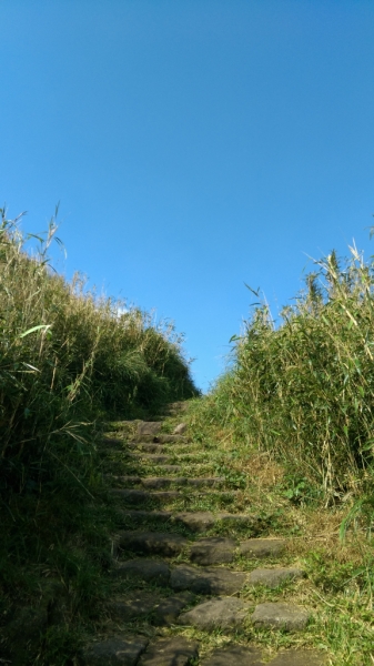 七星山東峰+波光粼粼的夢幻湖66433