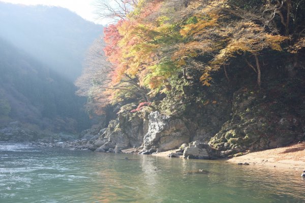 【海外健行】保津川-嵐山竹林- 天龍寺-常寂光寺1939367