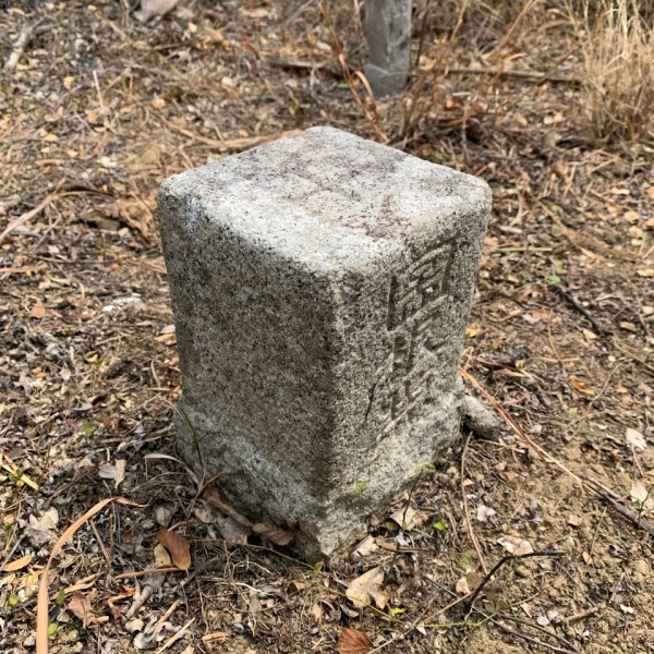 20250405屏東頂楓港山-上楓港山2757482