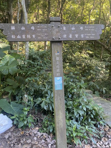 【四獸山 Short】虎豹象先行！獅山封閉中，等新步道開箱再相見2888845