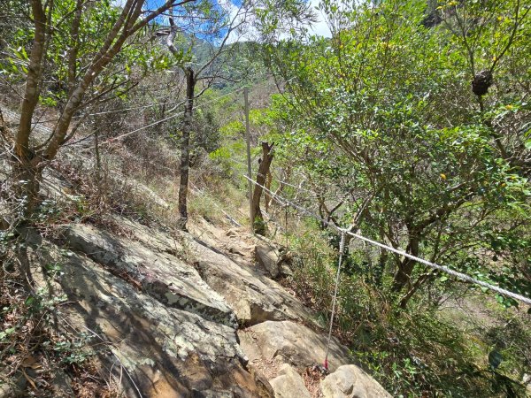 里龍山（小百岳）2788728