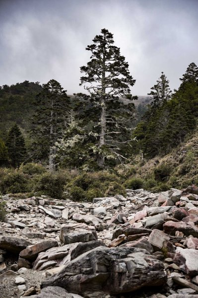 戒茂斯上嘉明湖三天兩夜2769423