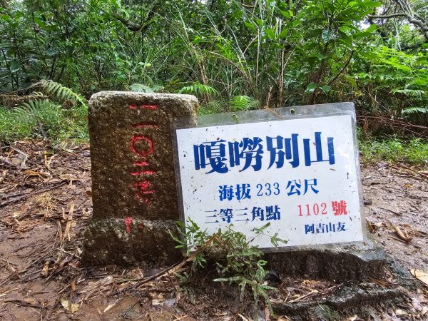 2025臺北大縱走第一段：關渡至二子坪2973534