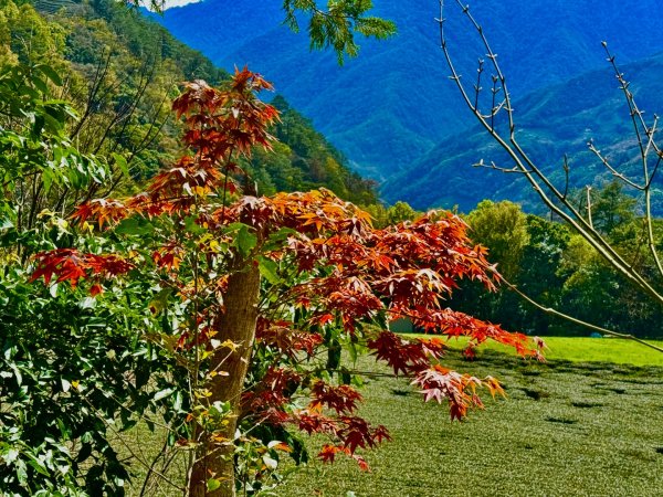 帖比倫峽谷瀑布與紅香溫泉2728682