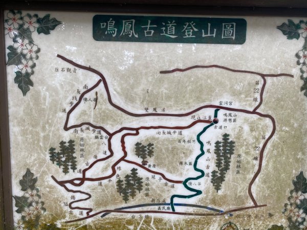 苗栗獅潭-鳴鳳古道2619028