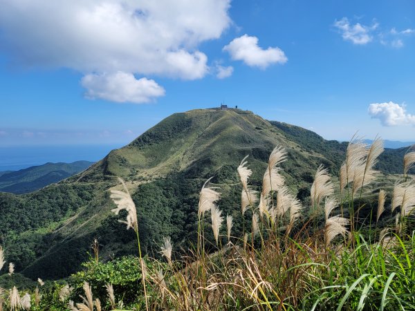 就愛秋芒--半屏山2358171