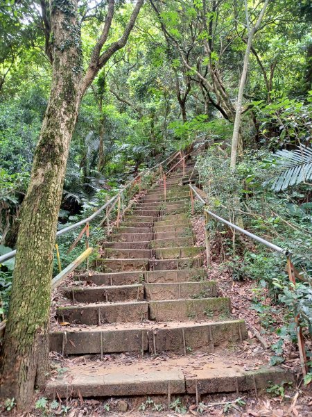 【台中北屯】南觀音山步道2933199