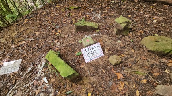 屯野生台山(秀巒山)＆石麻達山連走3129380