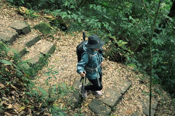 健行｜奮起湖大凍山封面