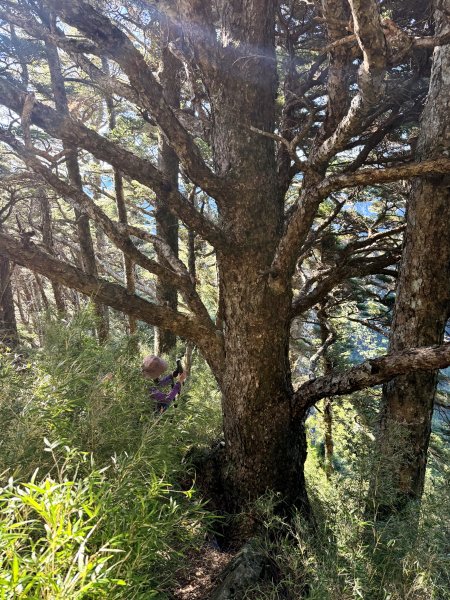 觀雲山莊經小完美谷上畢祿山O繞2917236