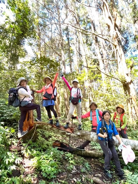 瞭望台-瓊山-望美山-獵人古道2886896