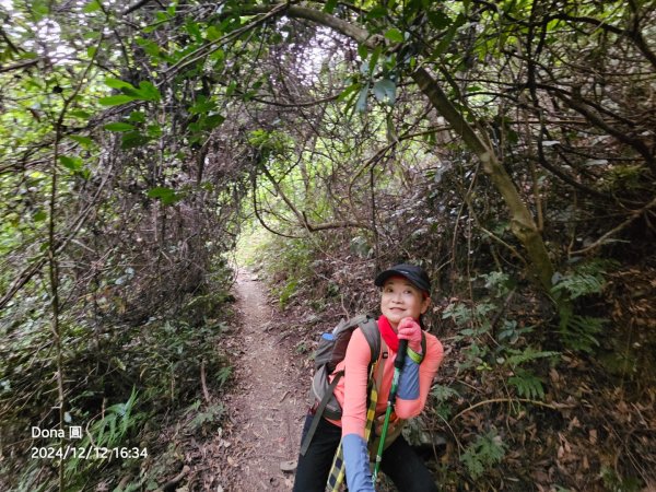 【谷關七雄】波津加(H1771.6m)肉腳配速成功2670529