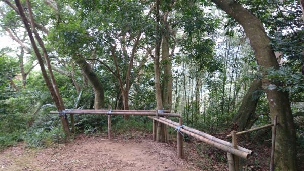 獅山古道(猿山步道+藤坪步道+六寮古道)405425