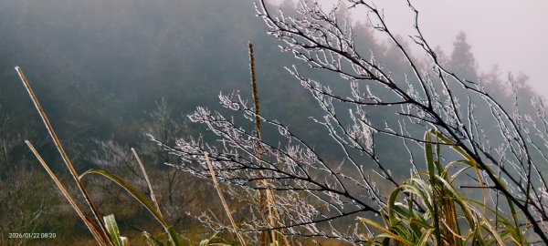 #太平山 #望洋山 #霧淞 1/222986034