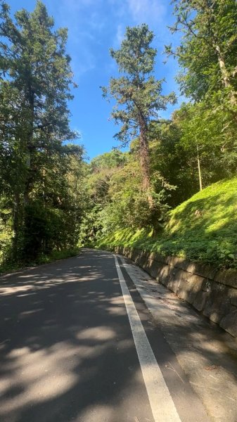 新竹橫山-大崎棟步道2619172