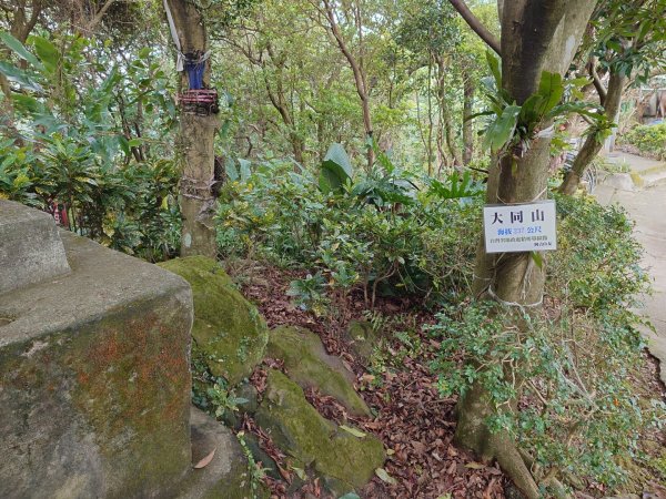 微笑山線之大棟山系2838146