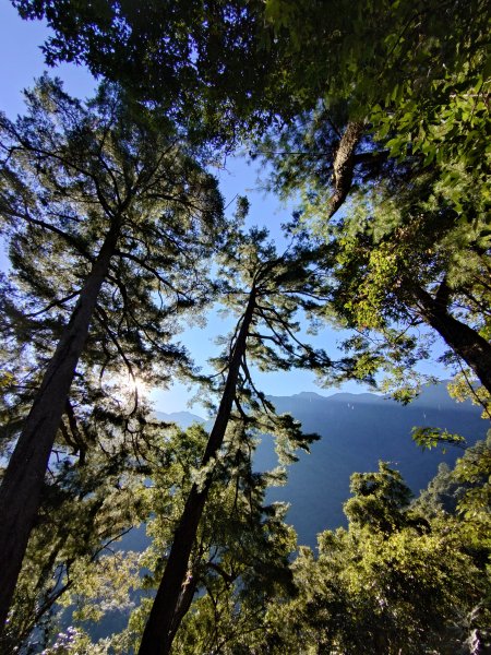 佳保台山-八仙山2910259