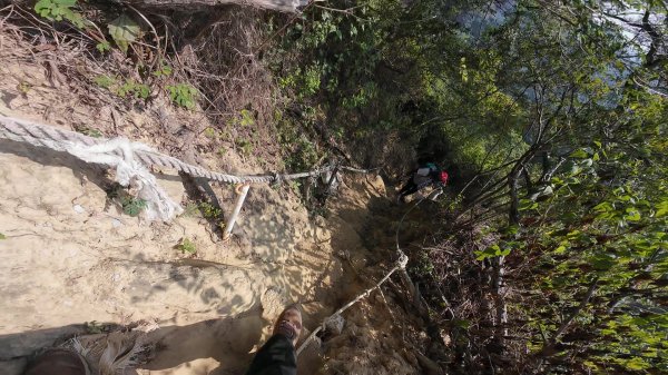 高雄 大社觀音山2960469