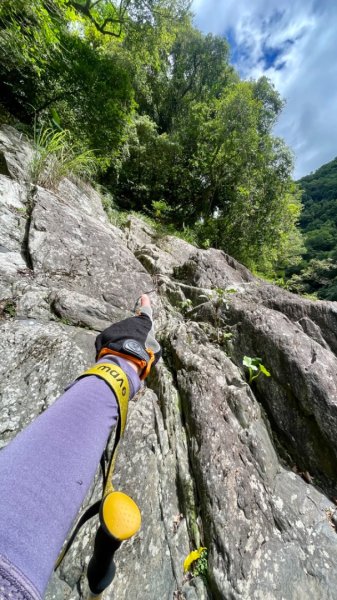 烏來西坑林道/探勘派出護管所彈藥庫遺址至獅坑橋2576289