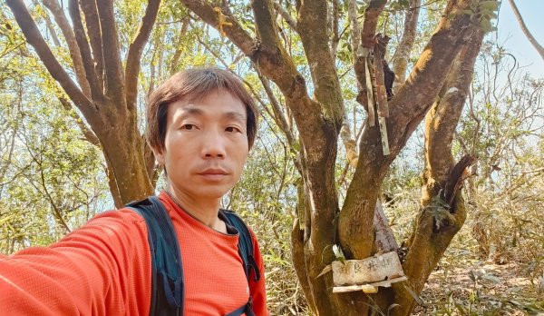 田良井山六連峰(屏東三地門) 探勘初體驗2025年3月9日2731625