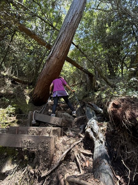 馬崙山 202509062889347