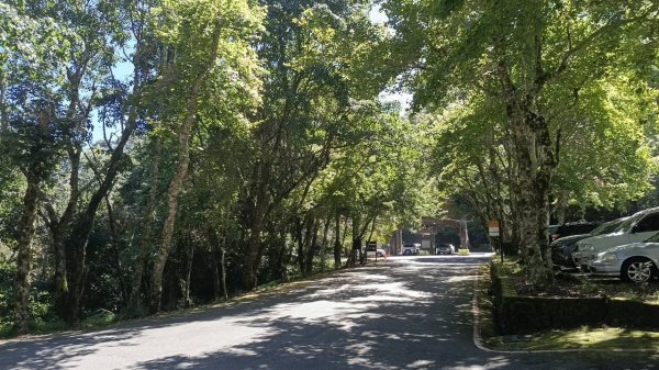 20251010 大雪山國家森林遊樂區 - 船型山林道 登 烏石坑山2911033