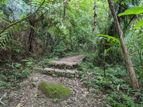 【百大必訪步道—台東】都蘭山步道(小百岳#93)1526216