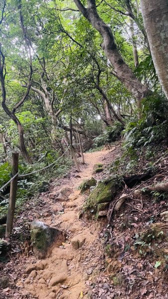 鶯歌石步道2865023