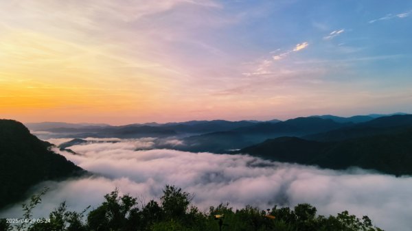 翡翠水庫壩頂 #火燒雲雲海 #日出雲海 #鱷魚島 #藍腹鷴 4/292772687