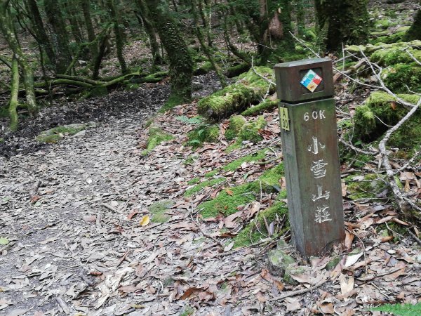 稍來小雪山步道2342400