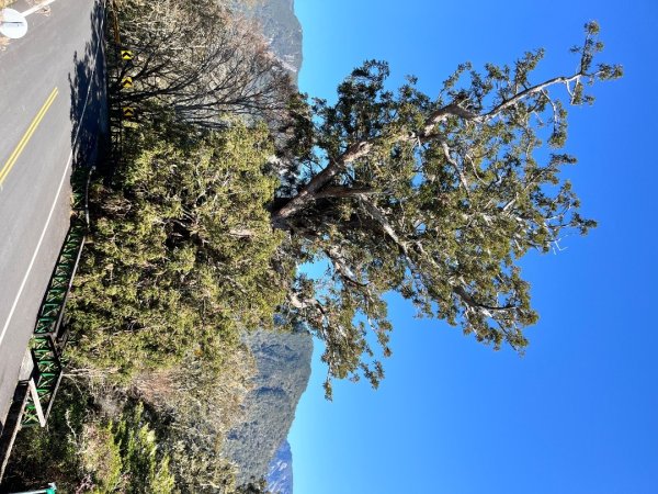 20260316～0317_月眉山+卡拉寶山（花蓮小百岳）3102575