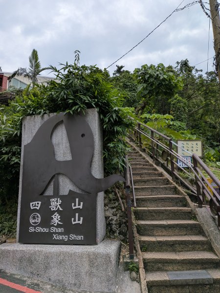 2025-06-01 五進五出九五峰2803003