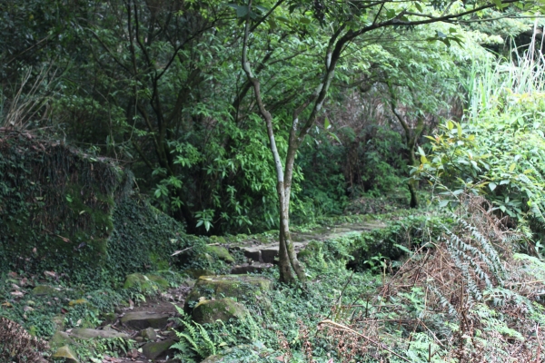 20160502台灣台北陽明山金包里步道公開90686