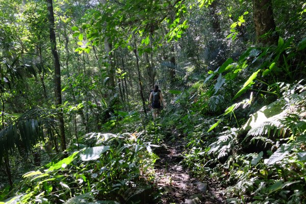 新竹尖石鄉 煤源社區上李棟山、大混山出凌空廊道2550489