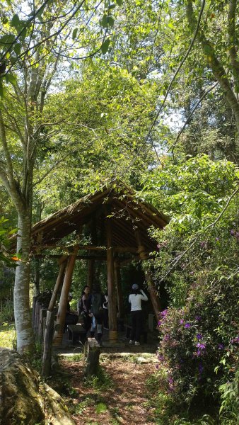 20250510福山古道隴頂步道健行:2791502