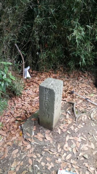 北得拉曼山登山步道神木區及內鳥嘴山連走356776