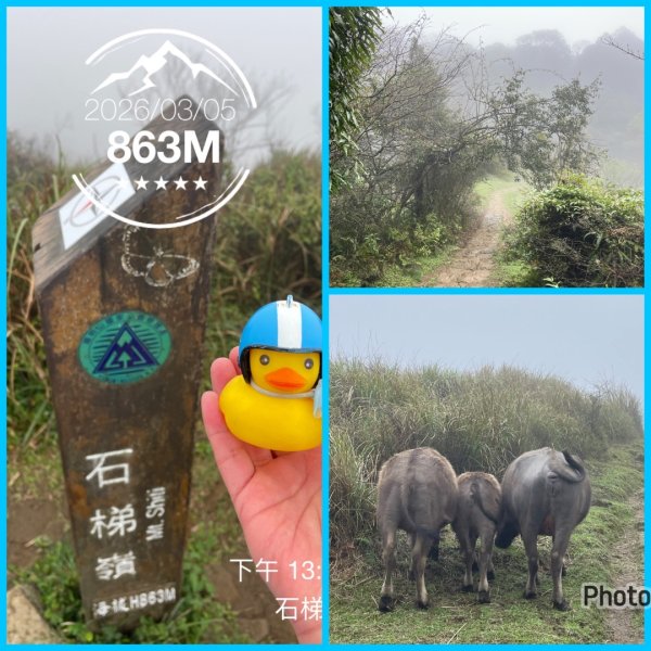 補個大💙藍天-二輪陽明山-尋印者-神秘古蹟探險12條步道3010522