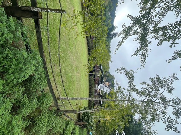 鵝公髻山/十八尖山/紅淡山/大尖山3120536