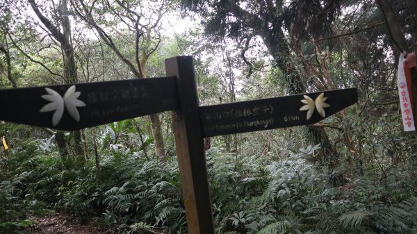 獵貍尖步道連走烏塗溪步道登山健行趣(淡蘭南路TK3-6&TK3-5&TK3-4)2404483