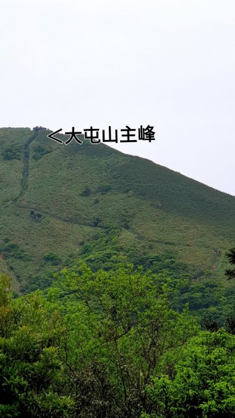 大屯山連峰步道（大屯主，南，西峰連走）926844