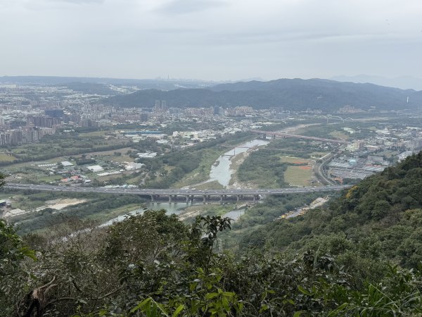 鳶山彩壁 202501312705576