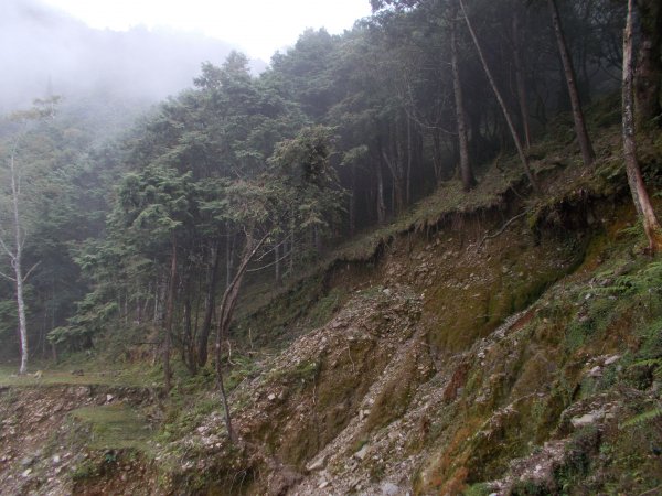 治茆山,治茆山南峰,巒山堂691192